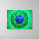 Pesquisar por transparente impressão de canvas Verde