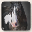 Pesquisar por retratos porta copos Cavalos