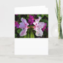 Pesquisar por azalea cartoes Natureza