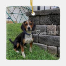 Pesquisar por crisma presentes Família