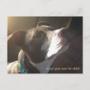 Pesquisar por animal fêmea cartoes postais Cão