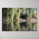 Pesquisar por árvore de salgueiro pôsteres pósteres Verão