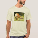 Pesquisar por boi de texas camisetas Longhorn