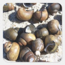 Pesquisar por caracol adesivos Crianças