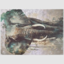 Pesquisar por elephants papeis de seda Aquarela