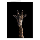 Pesquisar por língua do girafa cartoes postais Humor