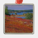 Pesquisar por mirtilo ornamentos Natureza