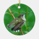 Pesquisar por colibri ceramica ornamentos Para todos