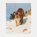 Pesquisar por leão de montanha mantas Puma