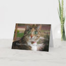 Pesquisar por surgery cartoes Cat