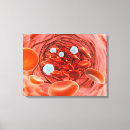 Pesquisar por ampliação impressão de canvas Ilustrações biomédicas