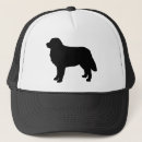 Pesquisar por montanha bones Cão de montanha bernês