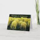 Pesquisar por entrevista cartoes Empregador