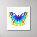 Pesquisar por borboleta arco íris impressão de canvas Colorido