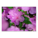 Pesquisar por perfumado cartoes postais Rosa