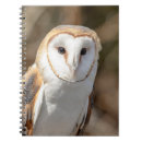 Pesquisar por owl cadernos de notas Selvagem