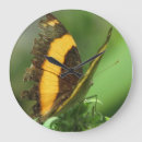 Pesquisar por borboleta amarela relogios de parede Qualquer pessoa