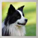 Pesquisar por borda branca pôsteres pósteres Branco