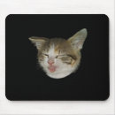 Pesquisar por careta Gatinho