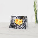 Pesquisar por cumprimento amarelo da flor Qualquer pessoa