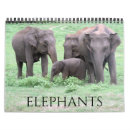 Pesquisar por elefante calendarios Tanzânia