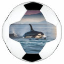 Pesquisar por oceano da bola futebol Peixe