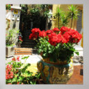 Pesquisar por imagens bonitas flores pósteres Bonito
