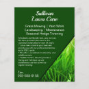 Pesquisar por erva flyers Cuidados com relva