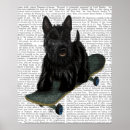 Pesquisar por bulldog francês pôsteres pósteres Flores