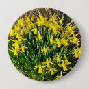Pesquisar por do daffodil botons Qualquer pessoa