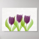 Pesquisar por tulipas pastel pôsteres pósteres Aquarela