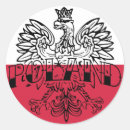 Pesquisar por polski adesivos Polimento
