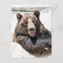 Pesquisar por pata de urso convites Selvagem