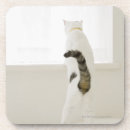 Pesquisar por cama em cama porta copos Dentro