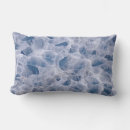 Pesquisar por aranha numa teia Para todos