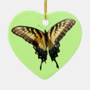 Pesquisar por borboletas coloridas ornamentos Natureza