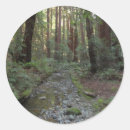 Pesquisar por paisagens adesivos Árvores