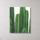 Pesquisar por cactos impressão de canvas Verde