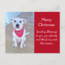 Pesquisar por freiras engraçadas cartoes postais Para todos