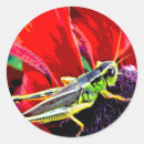 Pesquisar por entomologia adesivos Animal