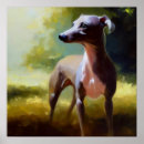 Pesquisar por cão galgo italiano artes pósteres Raça