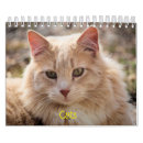 Pesquisar por gatos calendarios Felino