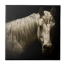 Pesquisar por cavalo azulejos Fotografia