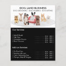 Pesquisar por passeio flyers Cuidador de animais