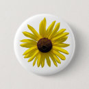 Pesquisar por susan botons Amarelo