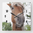 Pesquisar por belga de relogios de parede Animal