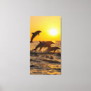 Pesquisar por golfinhos impressão de canvas Pôr do sol