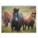 Pesquisar por calendário do cavalo calendarios Haflinger