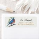 Pesquisar por bluebirds Para eles