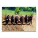 Pesquisar por equipe seis Campo